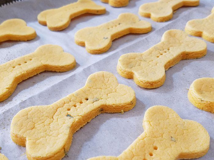 Best 20 Low Calorie Dog Treat Recipes Best Diet and Healthy Recipes